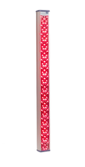 Redlight Full Body (Standing tall at 59")